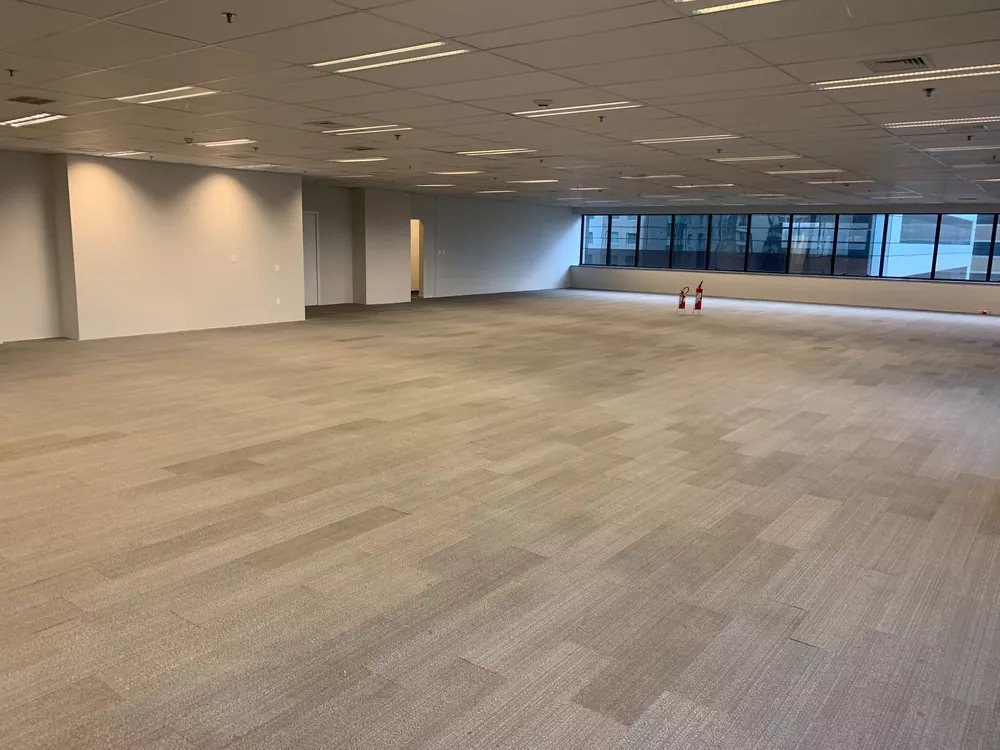 Sala-Conjunto, 380 m² - Foto 3