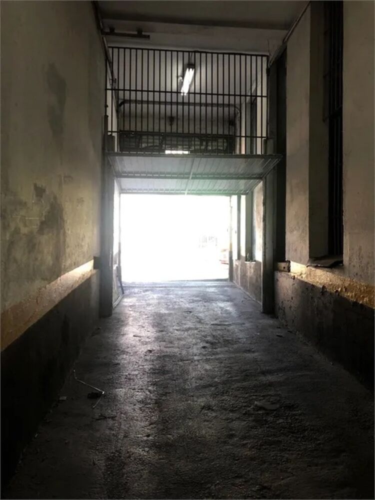 Depósito-Galpão, 6000 m² - Foto 5