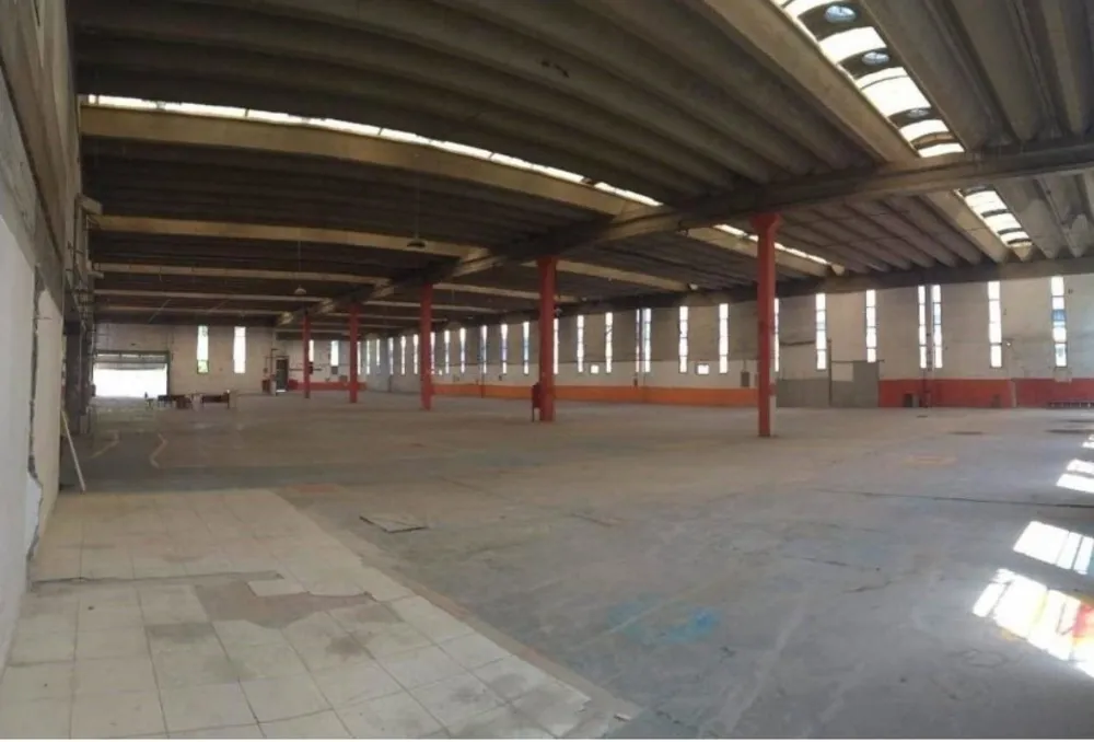 Depósito-Galpão, 5000 m² - Foto 4