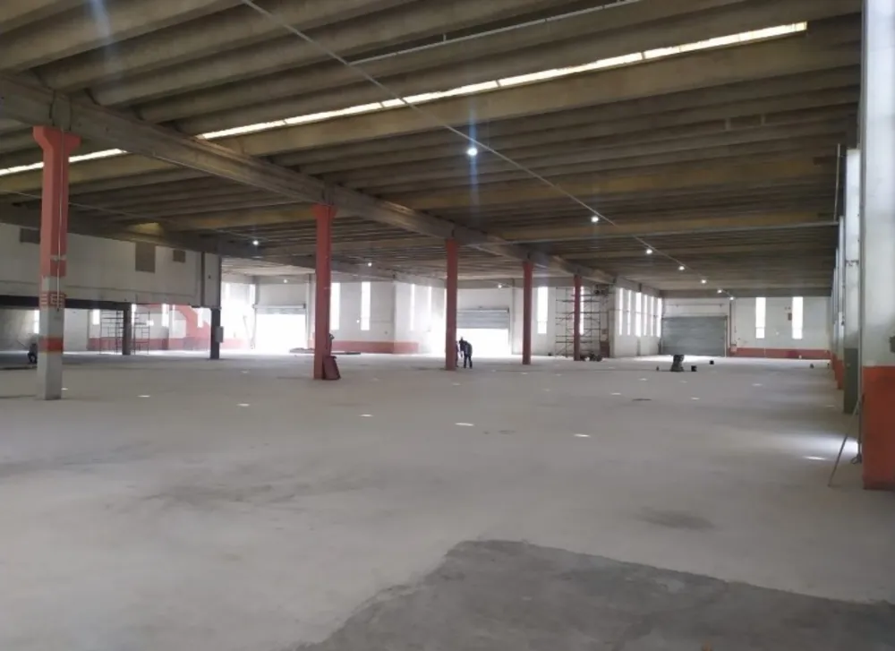Depósito-Galpão, 5000 m² - Foto 3