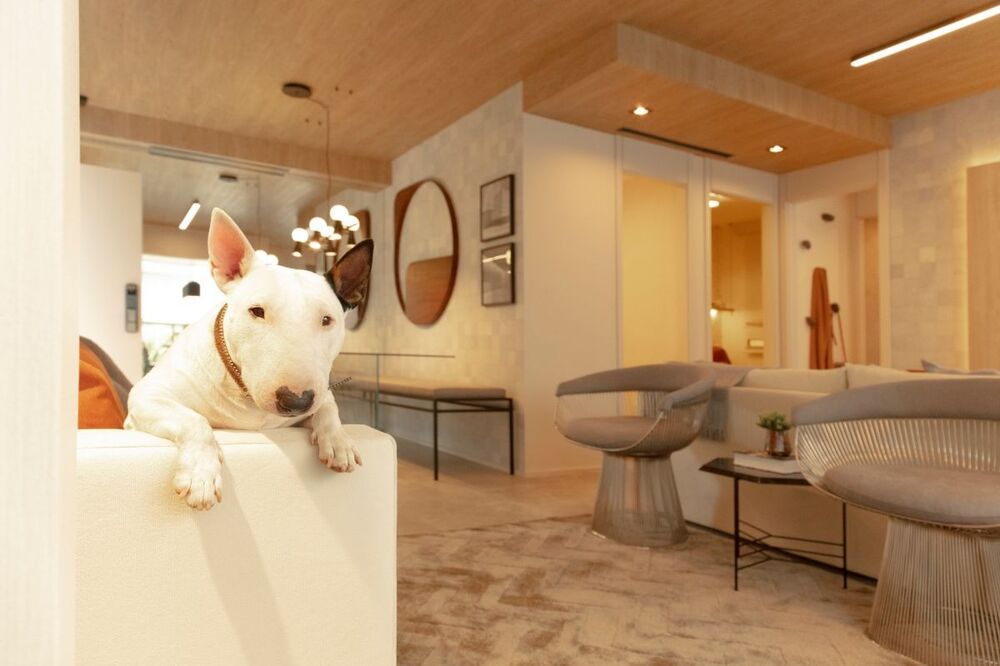 Apartamento à venda com 3 quartos, 101m² - Foto 1