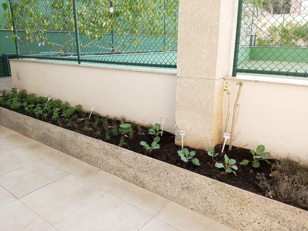 Apartamento, 3 quartos, 244 m² - Foto 12