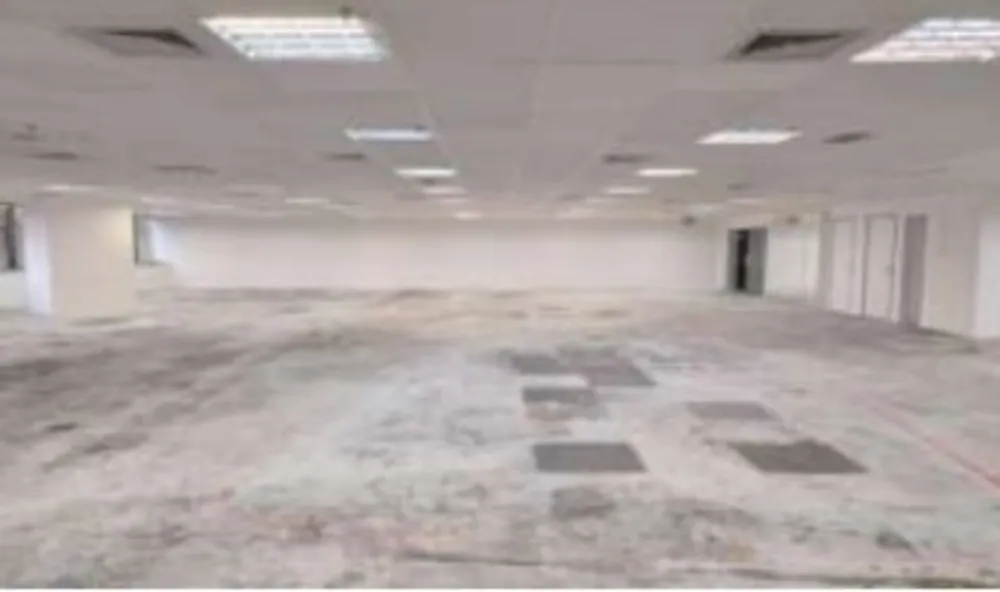 Sala-Conjunto, 442 m² - Foto 2