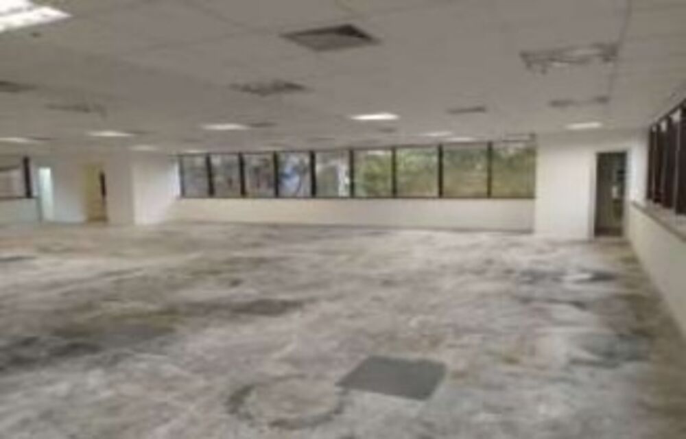 Sala-Conjunto, 442 m² - Foto 4