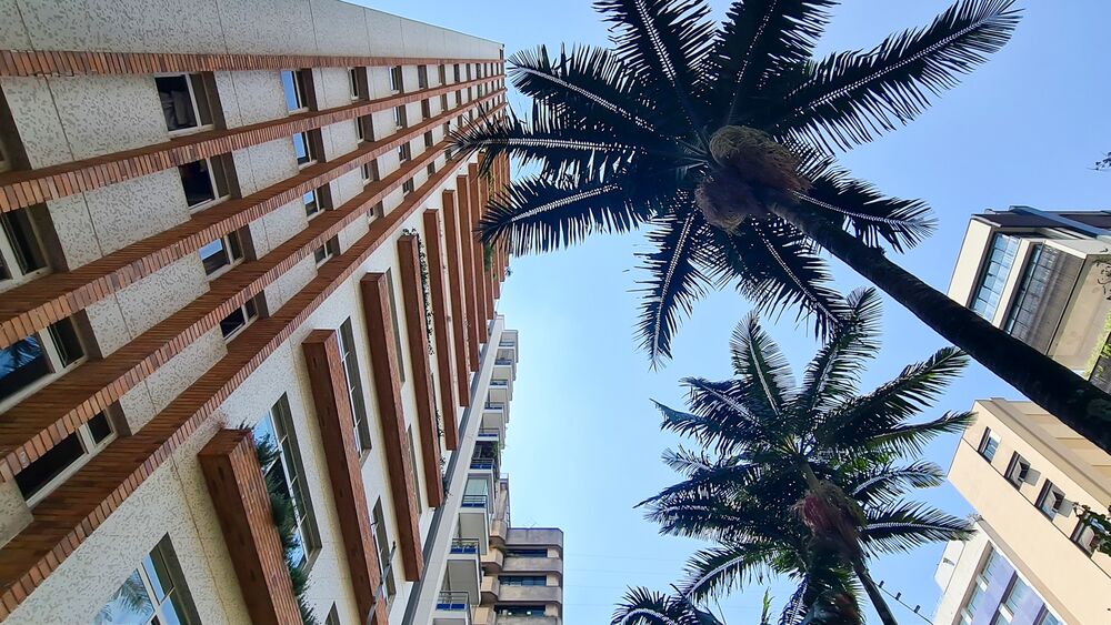 Apartamento, 3 quartos, 289 m² - Foto 8