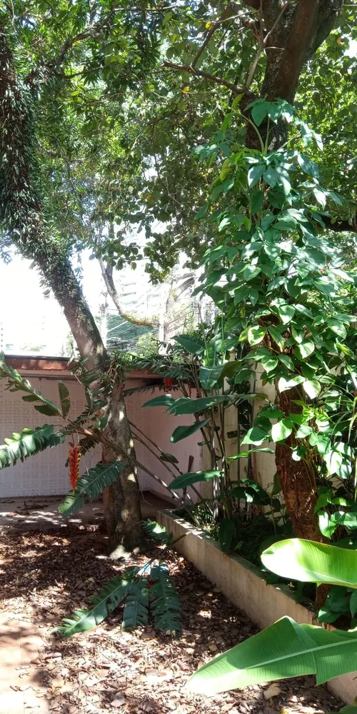 Casa, 4 quartos - Foto 2