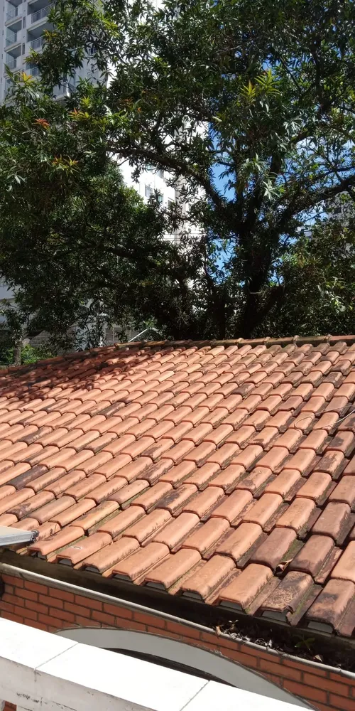 Casa, 4 quartos - Foto 9