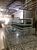 Loja-Salão, 444 m² - Foto 1