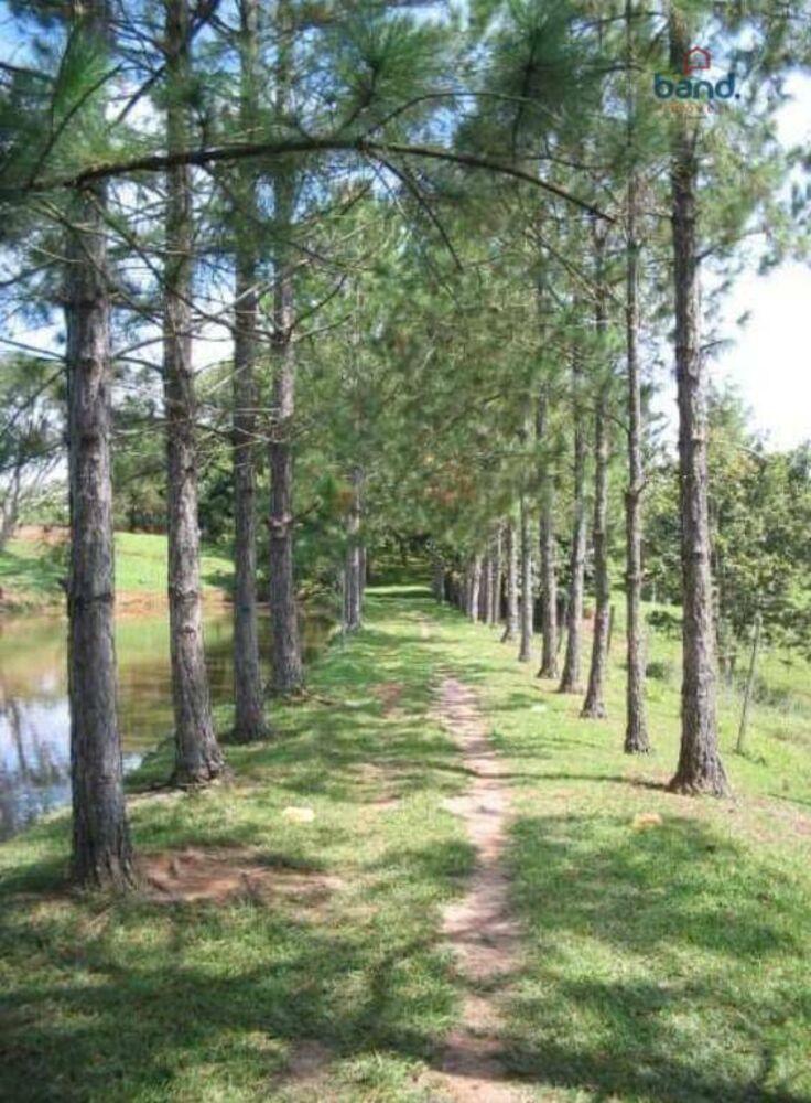 Sítio, 5 quartos, 9 hectares - Foto 4