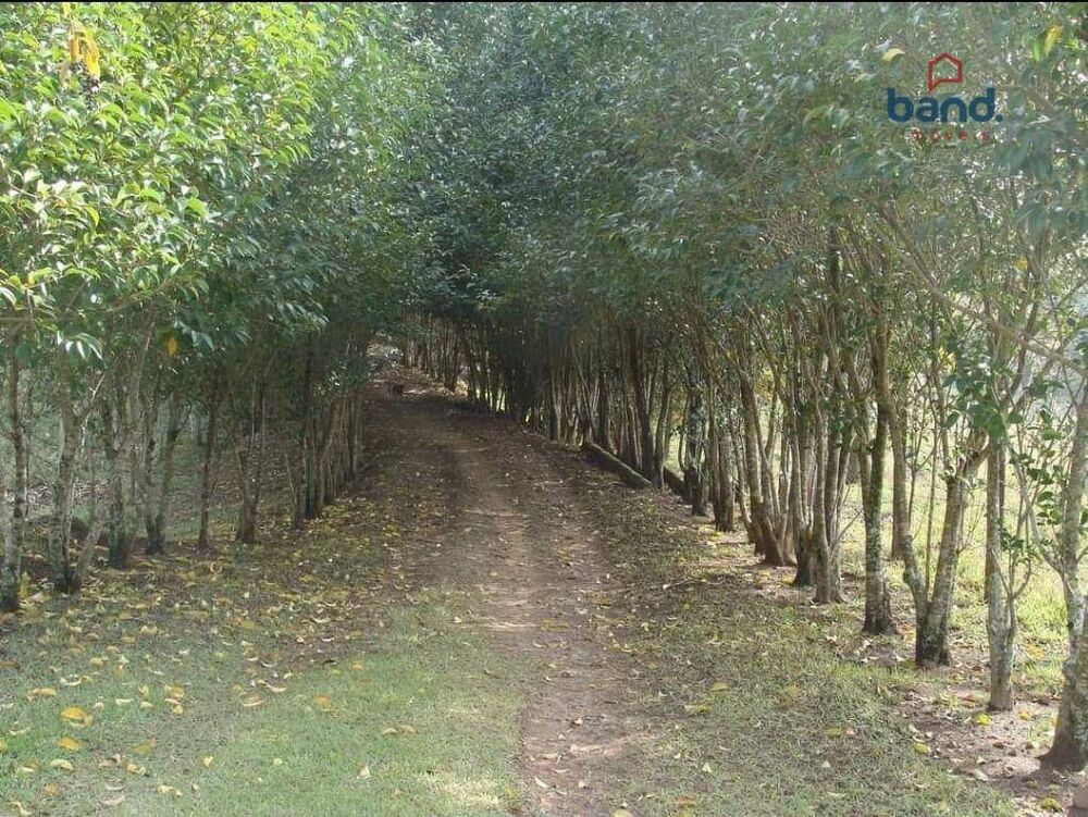 Sítio, 5 quartos, 9 hectares - Foto 3