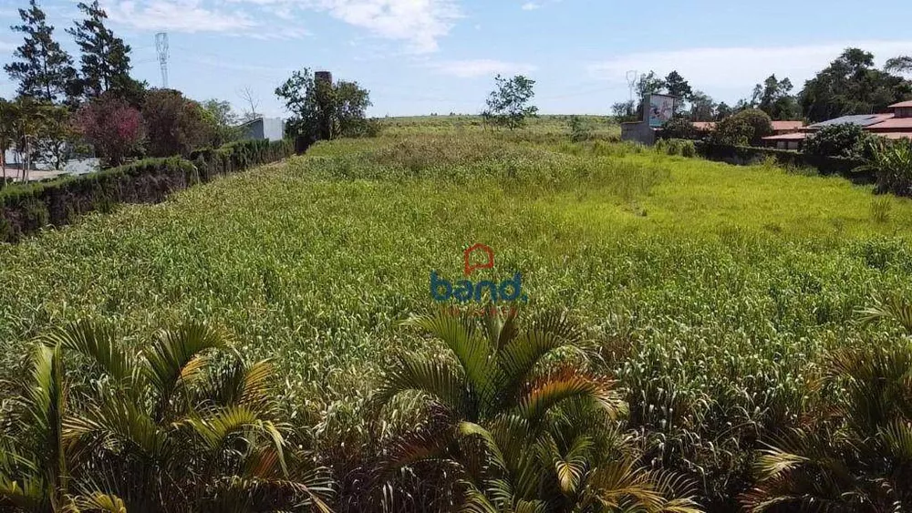 Terreno à venda, 5000M2 - Foto 4