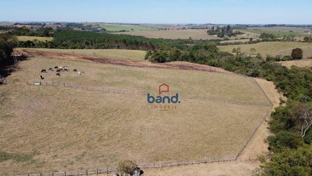 Haras e Área Rural Padrão à venda com 3 quartos, 208120M2 - Foto 4