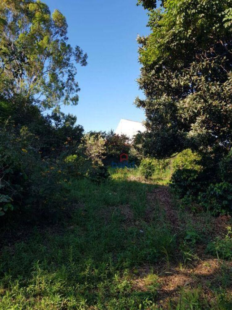 Terreno, 800 m² - Foto 2