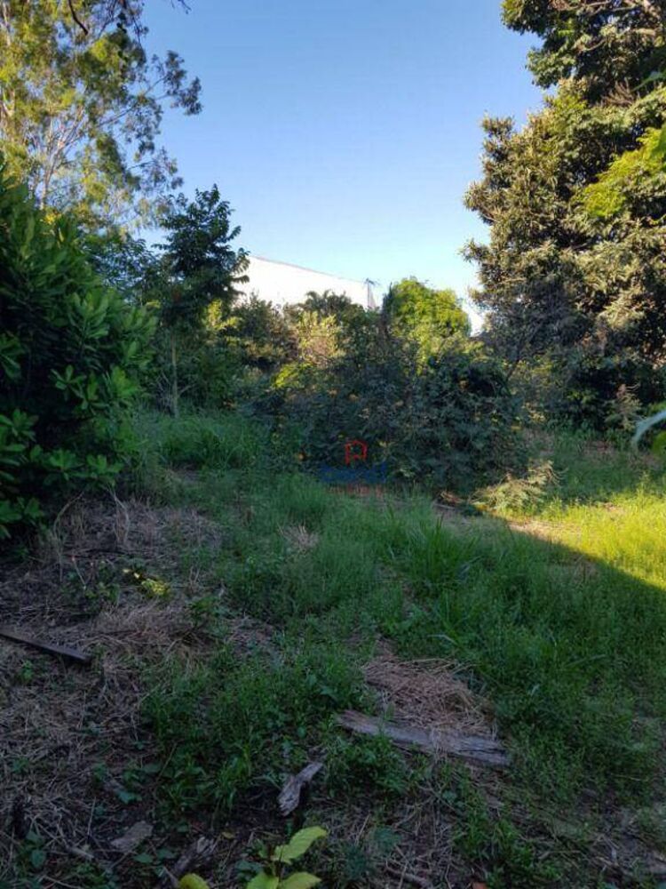 Terreno, 800 m² - Foto 1