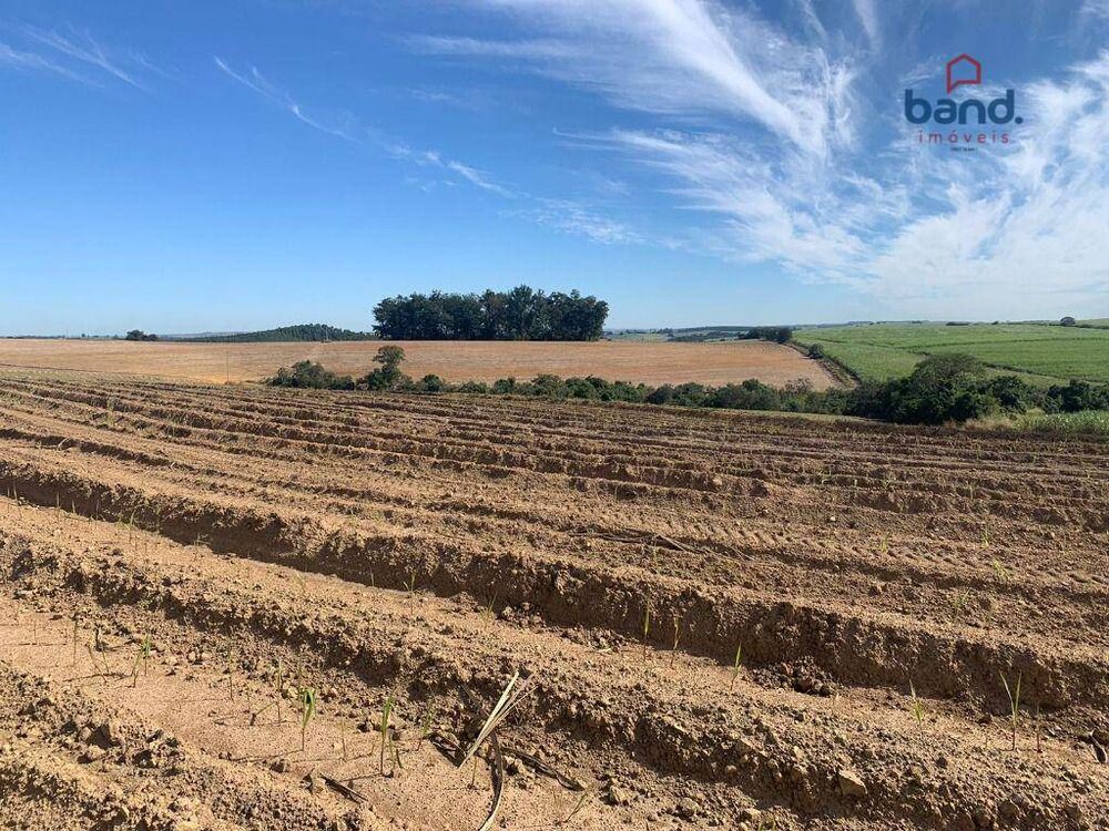 Fazenda, 264 hectares - Foto 3