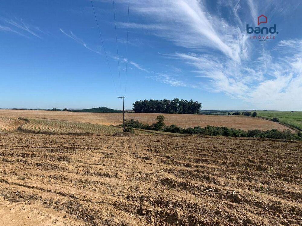 Fazenda, 264 hectares - Foto 2