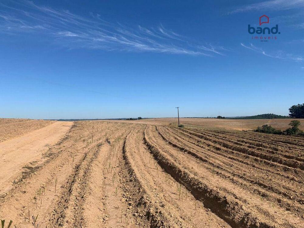 Fazenda, 264 hectares - Foto 4