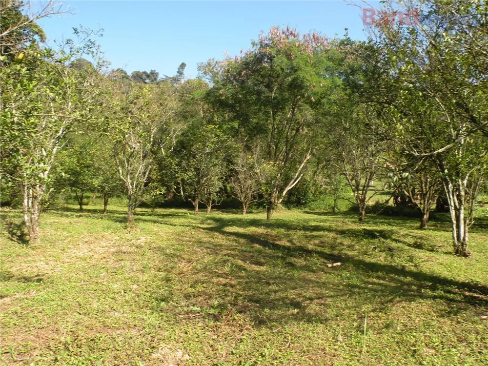 Chácara à venda com 3 quartos, 18360M2 - Foto 4