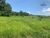 Sítio, 4 quartos, 4 hectares - Foto 4