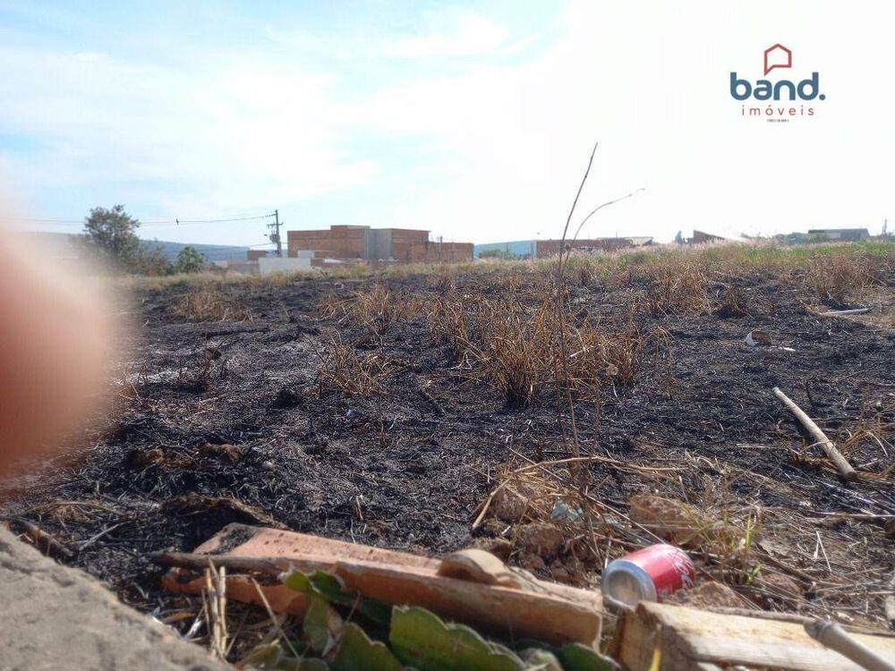 Terreno, 5000 m² - Foto 4