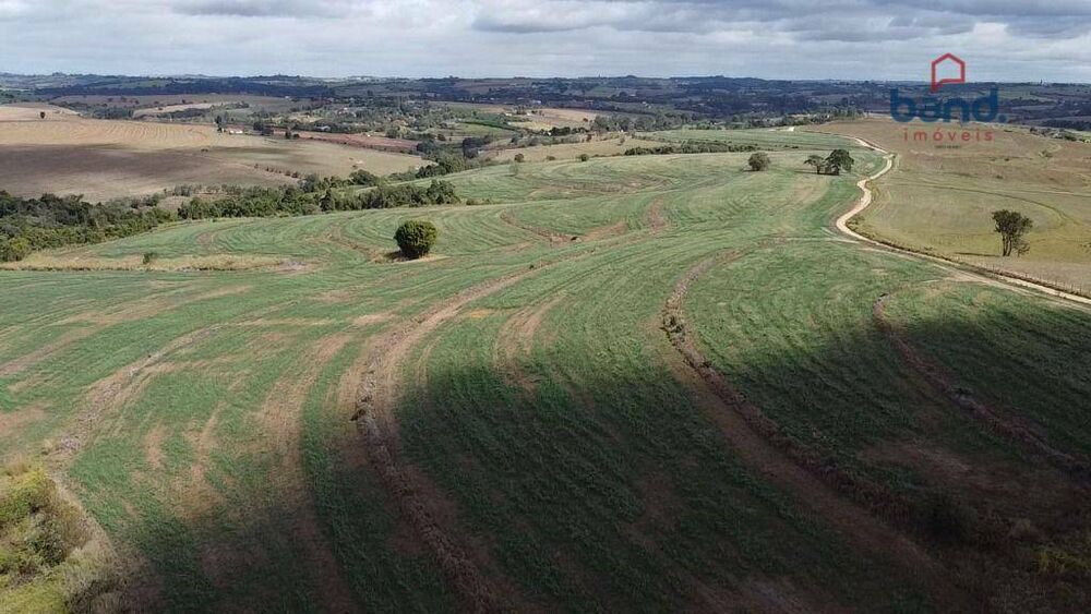 Fazenda à venda, 968000M2 - Foto 4