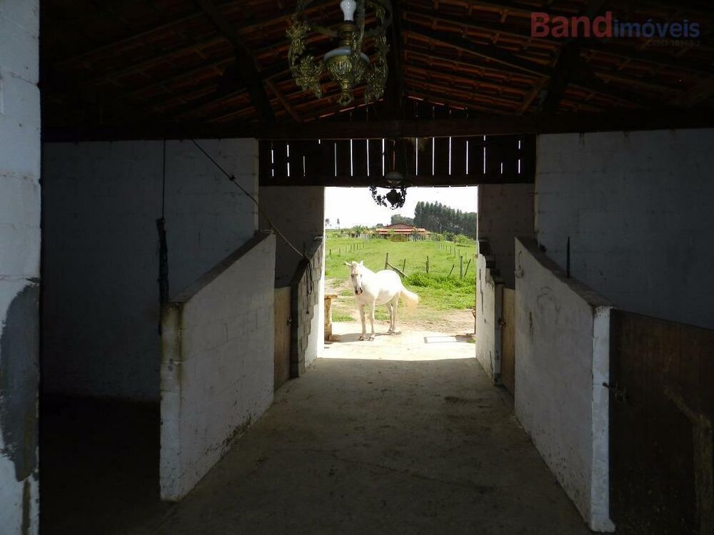 Fazenda, 8 hectares - Foto 6