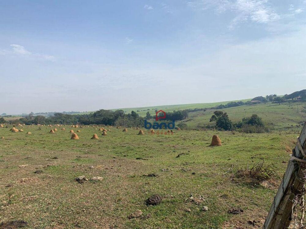 Terreno, 3 hectares - Foto 8