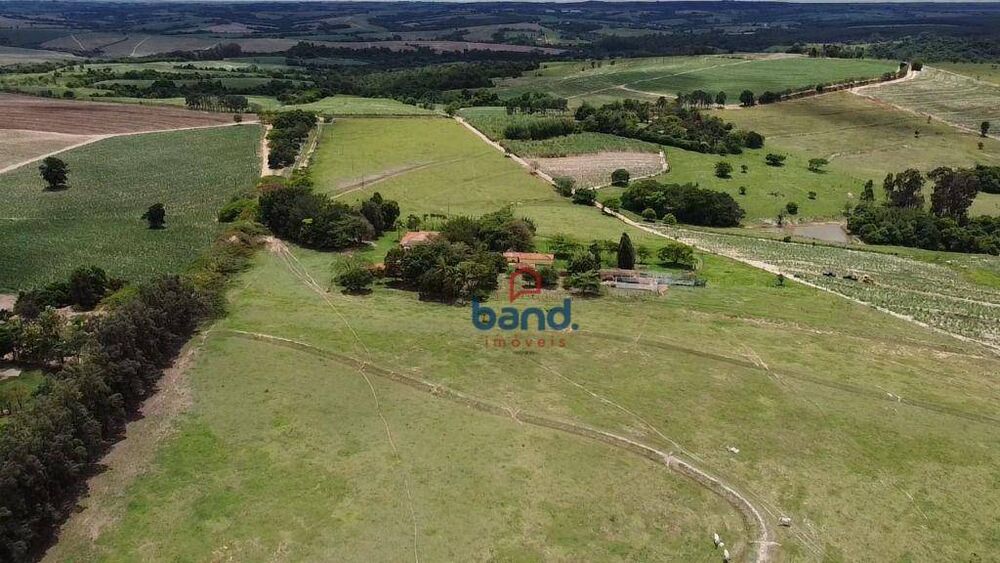 Fazenda, 44 hectares - Foto 8