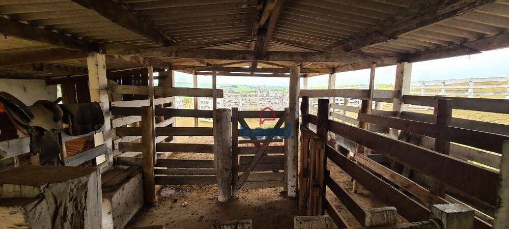 Fazenda, 44 hectares - Foto 2