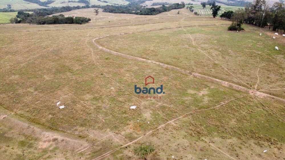 Fazenda, 44 hectares - Foto 7