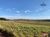 Fazenda-Sítio-Chácara, 685 hectares - Foto 4