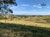 Fazenda-Sítio-Chácara, 685 hectares - Foto 3