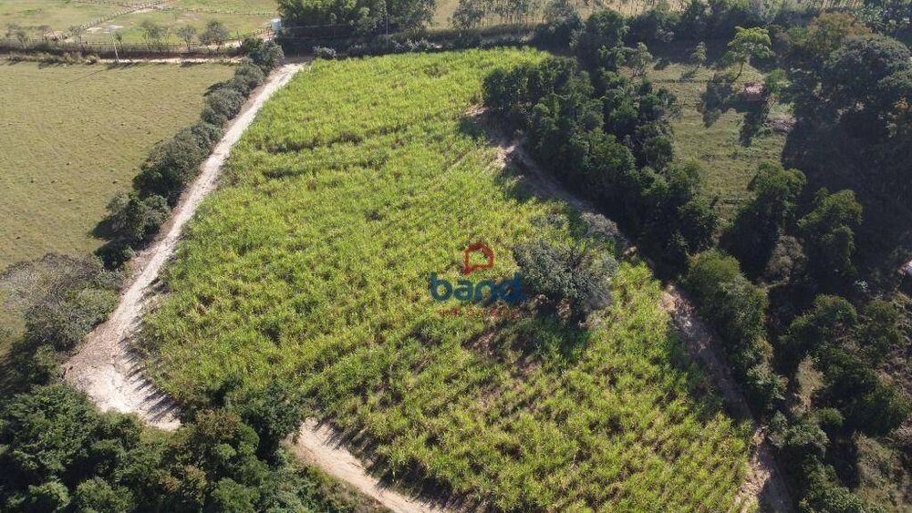 Sítio, 25 hectares - Foto 6