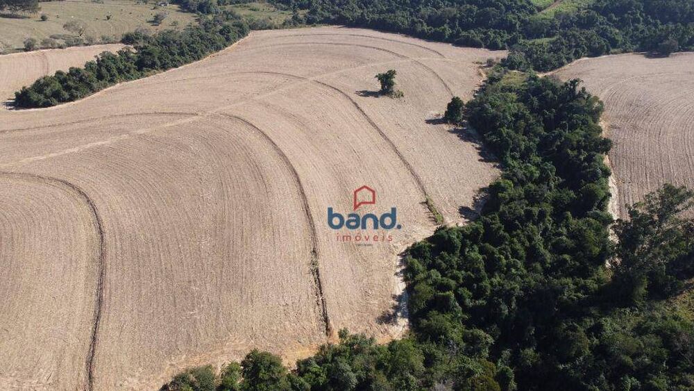 Sítio, 25 hectares - Foto 5