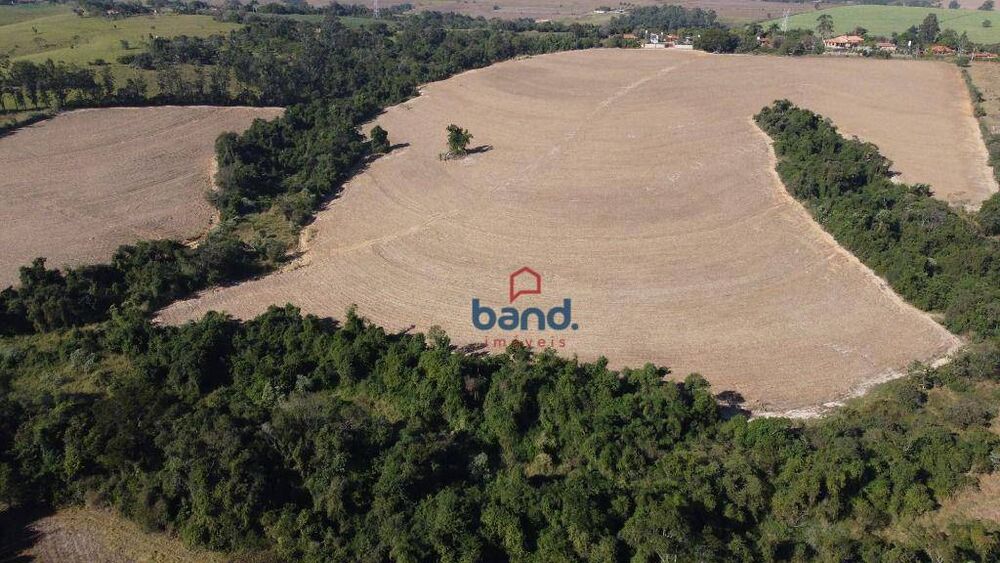 Sítio, 25 hectares - Foto 7