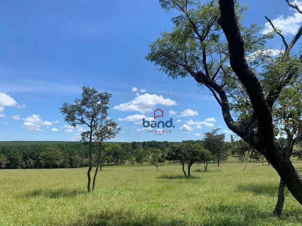 Fazenda à venda, 2323200M2 - Foto 2