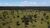 Fazenda-Sítio-Chácara, 232 hectares - Foto 8