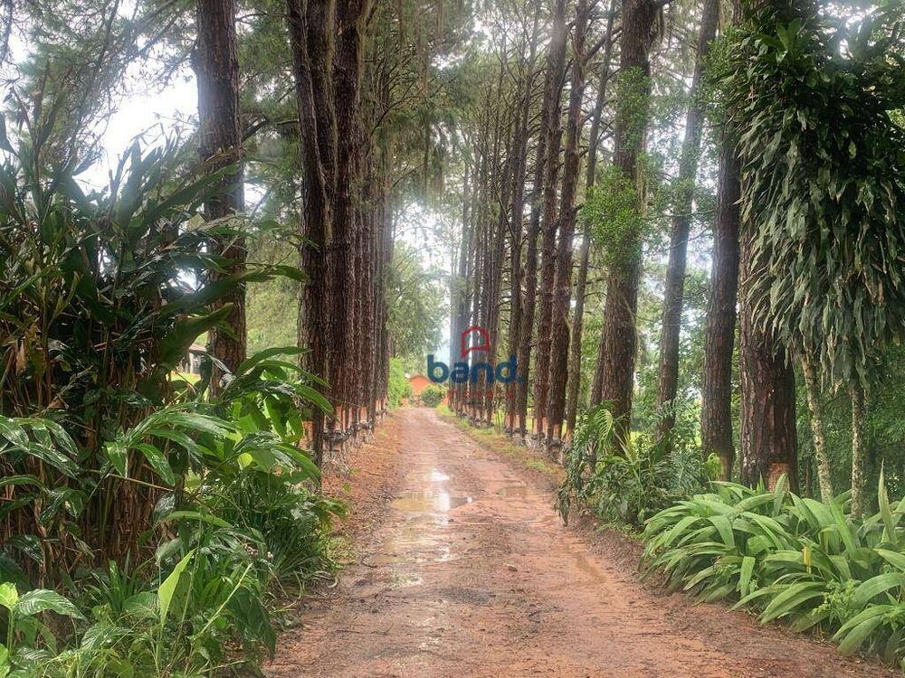 Sítio, 6 quartos, 31 hectares - Foto 8