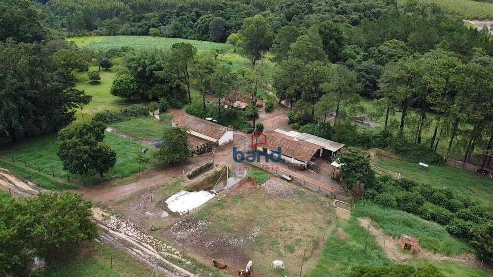 Sítio, 6 quartos, 31 hectares - Foto 6