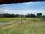 Fazenda, 7 hectares - Foto 5