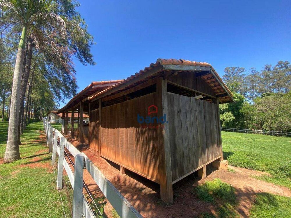Sítio, 4 quartos, 5 hectares - Foto 4