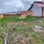 Terreno - Foto 1