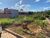 Terreno - Foto 1