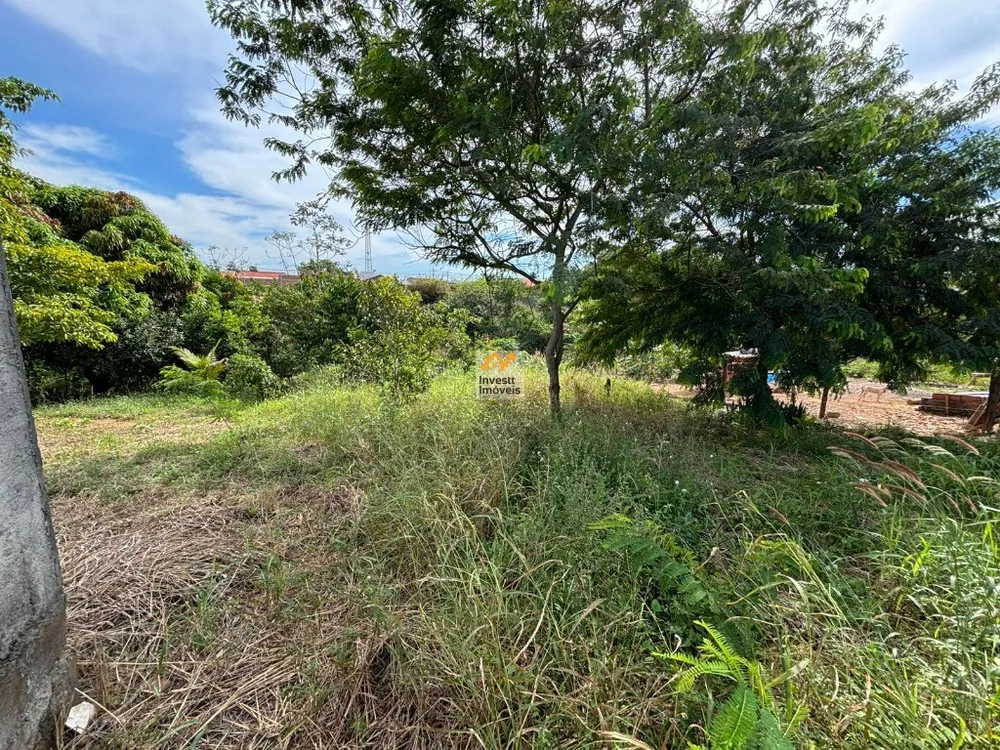 Terreno - Foto 5