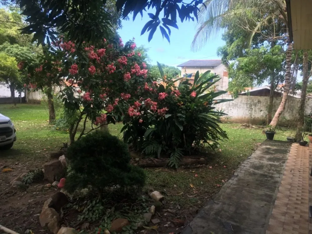 Terreno - Foto 3