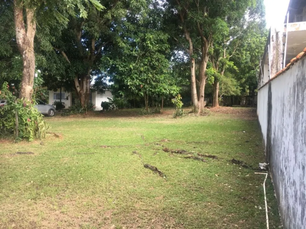 Terreno - Foto 4
