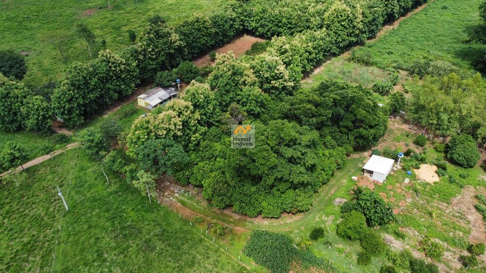 Chácara à venda com 1 quarto - Foto 4