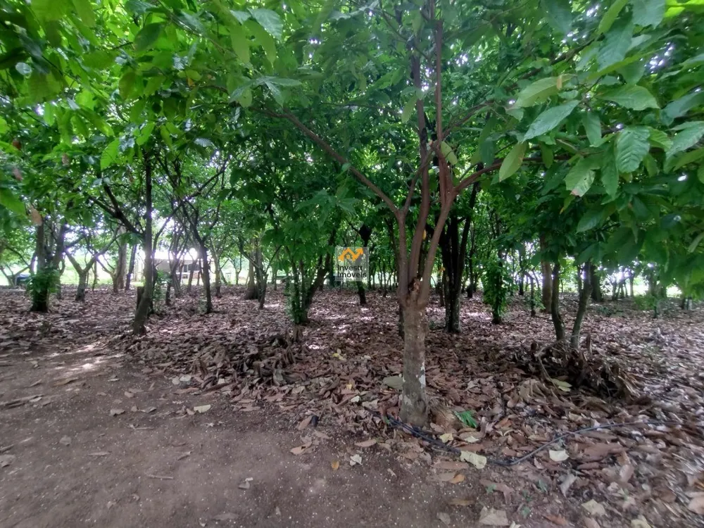 Chácara, 1 quarto - Foto 3