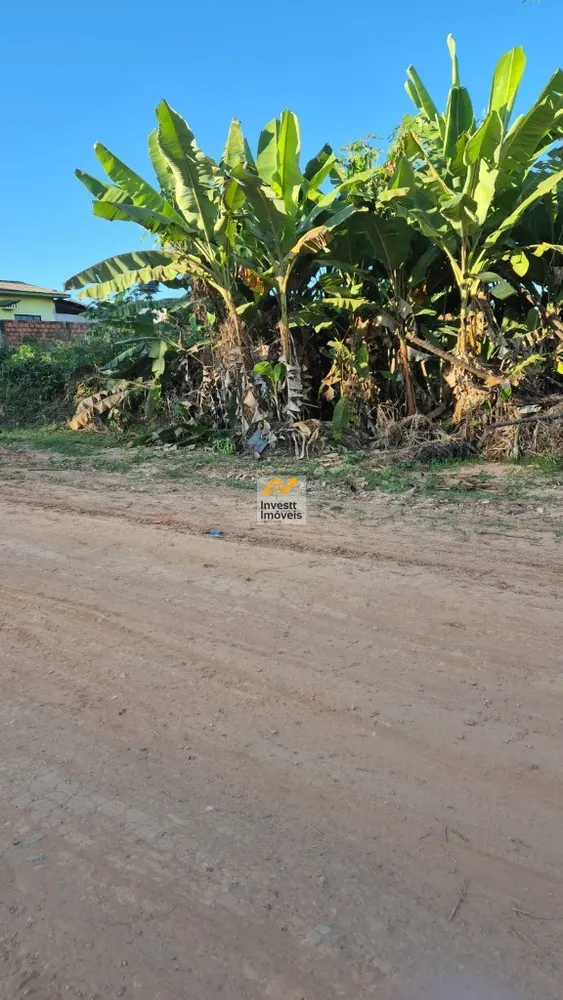Terreno - Foto 2