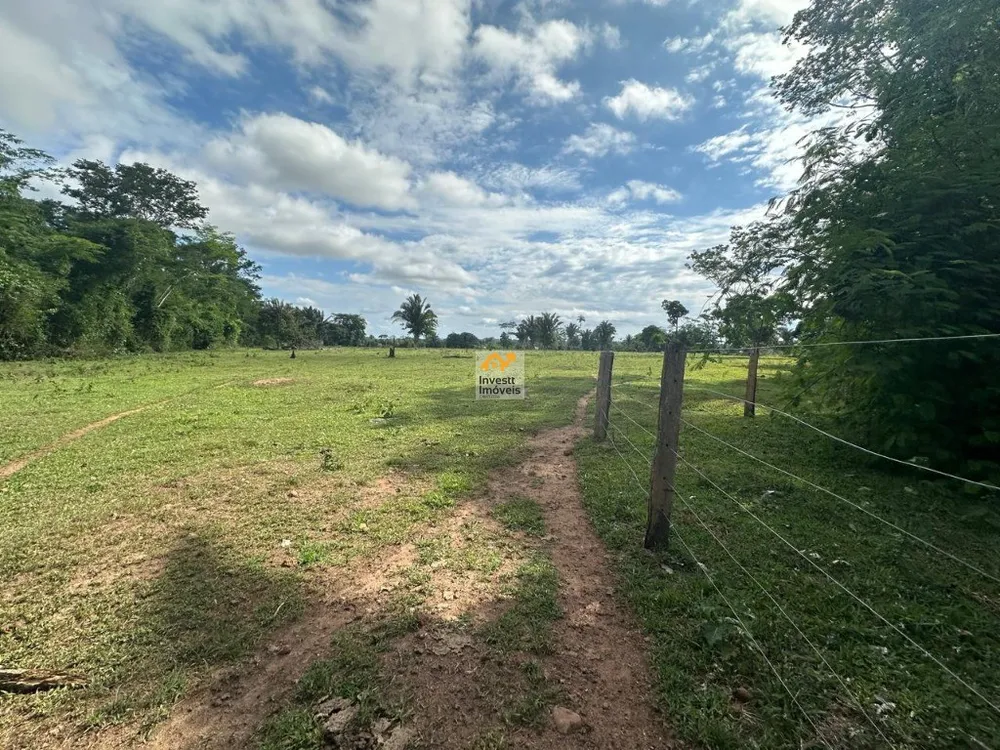 Sítio - Foto 1